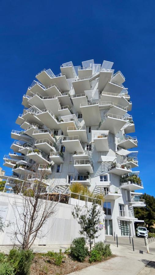 Arbre Blanc, Une Folie Montpellieraine المظهر الخارجي الصورة