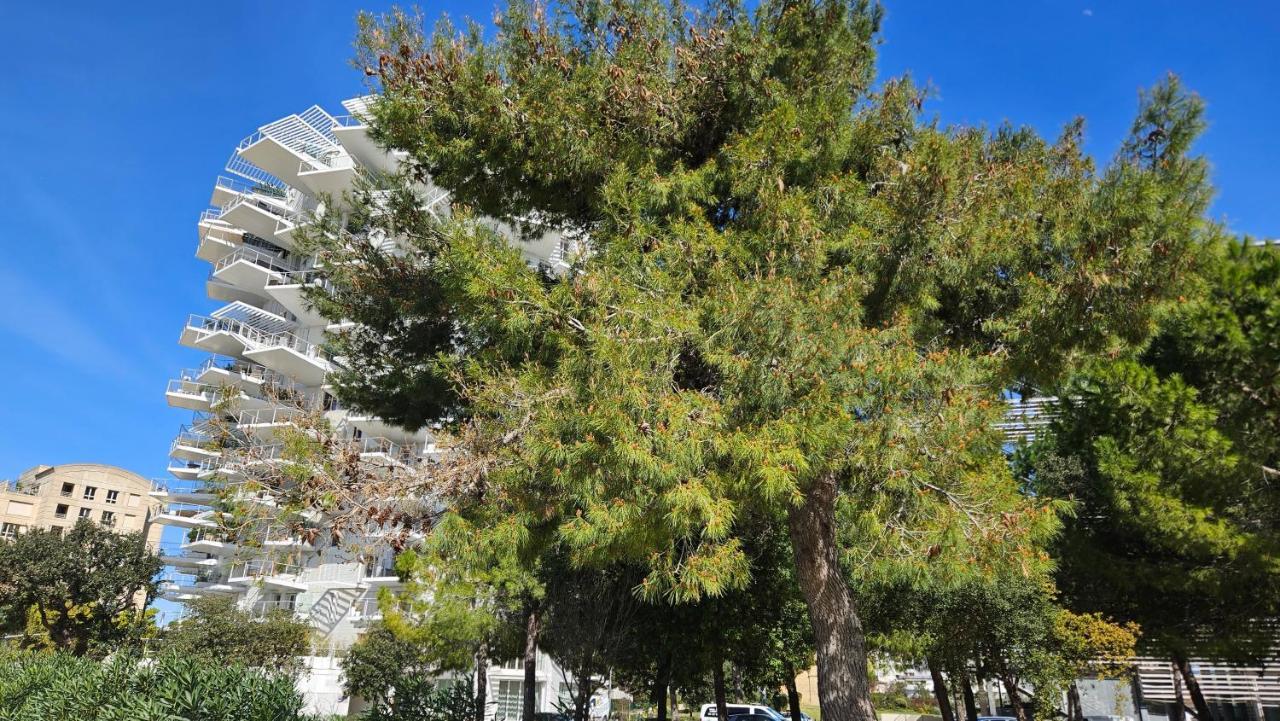 Arbre Blanc, Une Folie Montpellieraine المظهر الخارجي الصورة