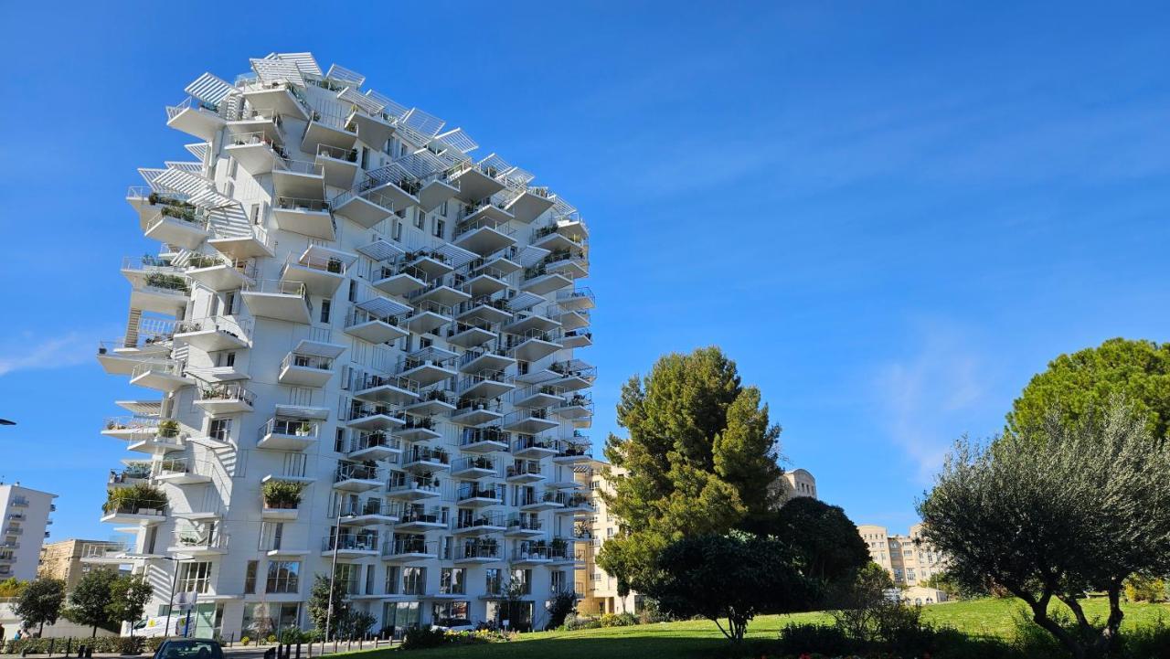 Arbre Blanc, Une Folie Montpellieraine المظهر الخارجي الصورة